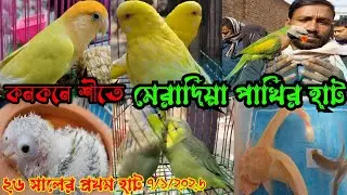 ২৬ সালের প্রথম হাট কনকনে শীতে || মেরাদিয়া পাখির হাট || Mera Diya pakhir hat 2026