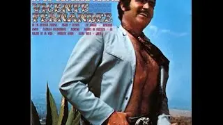Mix exitos Vicente Fernandez 2 HD