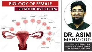 Biology of Female Reproductive Cycles | Hindi / Urdu