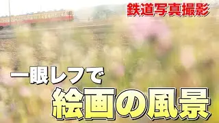 【鉄道写真】一眼レフカメラで絵画の風景を撮影する！小湊鉄道の長閑な風景を撮影！