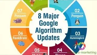 8 Major Google Algorithm Updates | 2019 | SEO