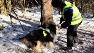 Little Heike-mother fieldsearch, february 14 2016
