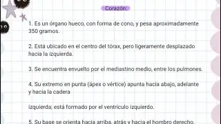 Histolog&iacute;a 3: tejido muscular y coraz&oacute;n 💪🫀