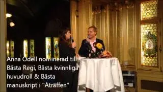2013 &aring;rs Guldbaggar - nomineringar