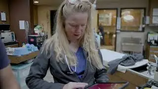 Veterinary Professional Associates Endanger Colorado Pets