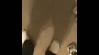 CANT BUST EM'