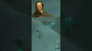 I must go my people need me! #TotK #Zelda | affinitychris on #Twitch