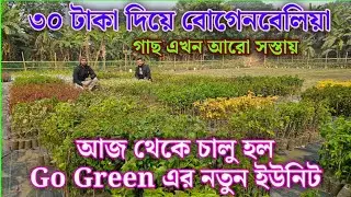 ৩০ টাকায় দশটি ভ্যারাইটি বোগেন বেলিয়া নতুন কাউন্টার চালু হলো নীলগঞ্জে 🌿