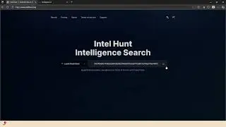 Best IntelX Search Platform intelhunt.org