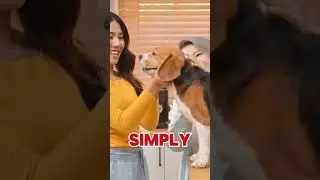 &ldquo;The Cat That Recognizes Its Name but Pretends Not To 😼📞#shorts