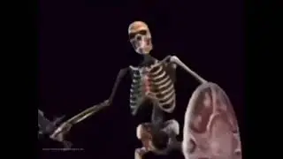 Skeleton Banging Shield Meme Template | Download Link In Comments 🔗