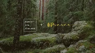 Forest Spa Finland + Pinena  - Benefits of pine bark extract to skin health and overall well-being.