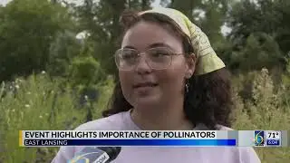 2025 Tree Top Tommy and Wife help save the bees