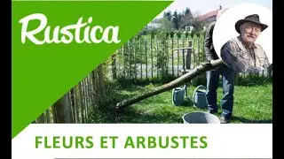 Bouturer un tronçon de saule vivant