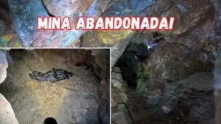EXPLORÉ una MINA ABANDONADA… arriba encontramos algo que no esperábamos