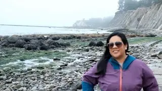 Bowling Ball Beach California