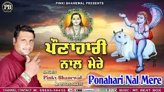 ਪੌਣਾਹਾਰੀ ਨਾਲ ਮੇਰੇ||Ponahari Nal Mere||Pinky Bhanewal||Baggu Rajumajra||Music MT BEAT Box