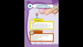 Human Body: Nervous System | Class 5 SCIENCE| Nature Cruise | VARSITY
