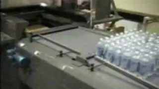vonGAL In-Line Palletizer
