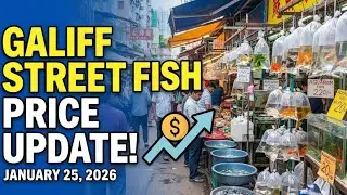 Рыбный рынок на улице Галифф в Калькутте 2025 | Последние данные о ценах на аквариумных рыбок | В...