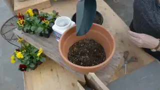 Layered Bulb Planter For Flowers ALL Spring 🌷 || West Coast Gardens