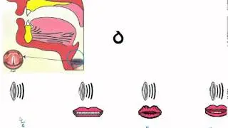 Pronounce Read Write Arabic Letters 3