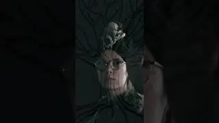 OUR LAST TREE   TRAILER