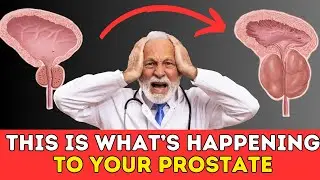 Enlarged Prostate Explained: Symptoms, Solutions & Hope for Men Over 60