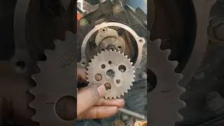 Tvs Sport Bs6 Timing Chain Setting #timing #timingchain #automobile
