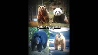 grizzly bear vs panda vs black bear vs polar bear