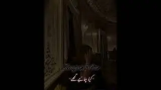 Novel:bismil {QAIS KAMBEER X ZEENIYA HAKIM}🫶🏻👀#shorts #novelstory #mehrunissa