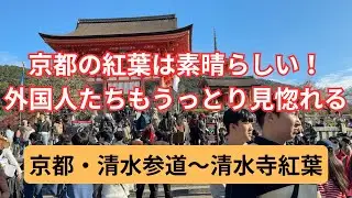 【京都・清水寺】清水の舞台から見る紅葉に外国人もうっとり！