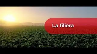 Pizzoli &ndash; La filiera delle patate da industria