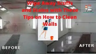 How to Clean Walls in Your House Easily | From Dirty to Clean Home | Clean and Remove Paint Spots