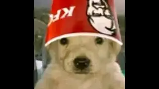 Что видит тойка на досете: