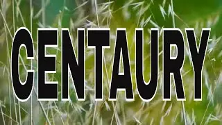 CENTAURY