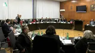 Radio televizija Bor (