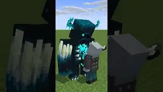 Warden vs Vindicator