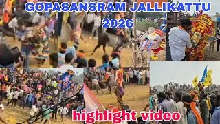 GOPASANDRAM JALLIKATTU 2026  VIRAL @ 2026 
