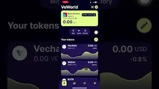 How To Switch From Testnet To Mainnet Network On VeWorld Wallet