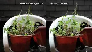 Panasonic GH2 hacked @42mb vs GH2 non hacked test.  See the difference!