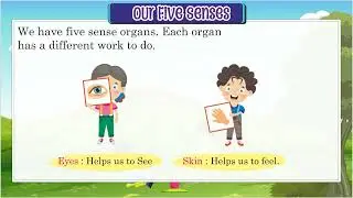 Ch 3 | Lavendar Books | Picture Book | A | Out Five Sense | For children