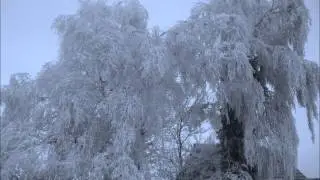 Moonsorrow - Kuun Suru