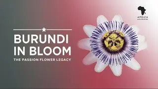 My BroadcastBurundi in Bloom: The Passion Flower Legacy