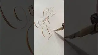 Carpe diem #calligraphy #copperplate #каліграфія | Thinline #drphmartinsink