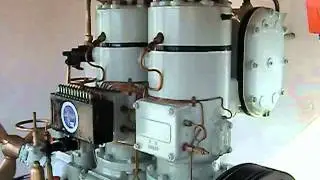 Hundested motoren