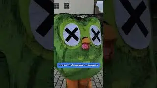 Сова Duolingo воскресла