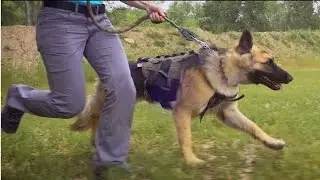 5.11 Women's Tactical Gear - Designed for Women by Women
