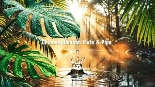 Chinese Bamboo Flute & Pipa | Calm Relaxing Music with Meditation, Spa, Sleep & Relaxation.
