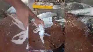 Regular fish cutting#octopus 